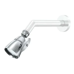 All Metal 2-Inch High Pressure Shower Head, Variable Pattern, 2.5 GPM